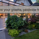 gardening without pesticides
