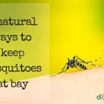 5 natural ways to keep mosquitoes at bay] (2)