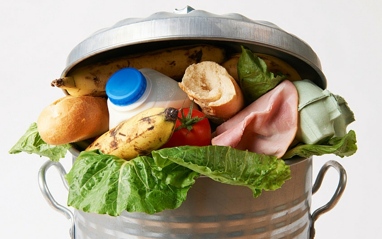 how to stop wastage of food