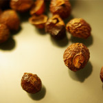 Soap nuts